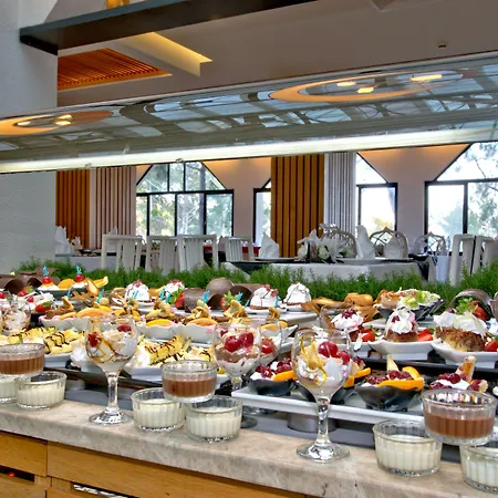 Tui Magic Life Sarıgerme