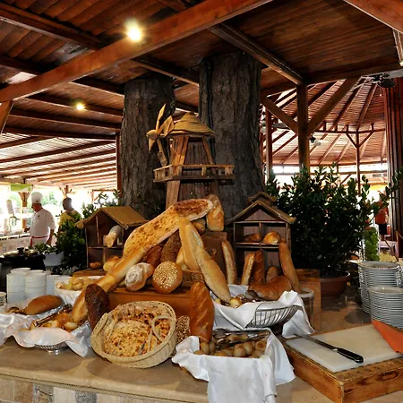 Tui Magic Life 5* Саригерме