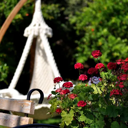 Szálloda Tui Magic Life 5*